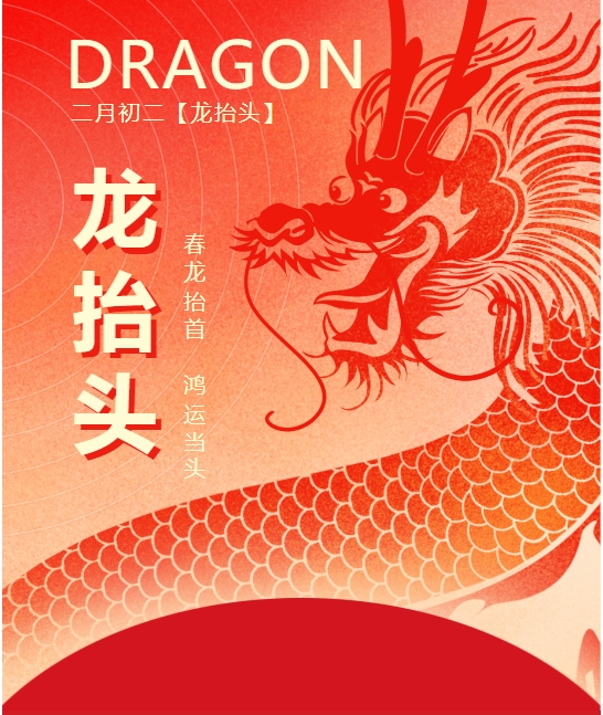 二月二龍?zhí)ь^，春龍振翅鴻運(yùn)啟 —— 佳木斯網(wǎng)云信息科技有限公司與您共迎新春盛景