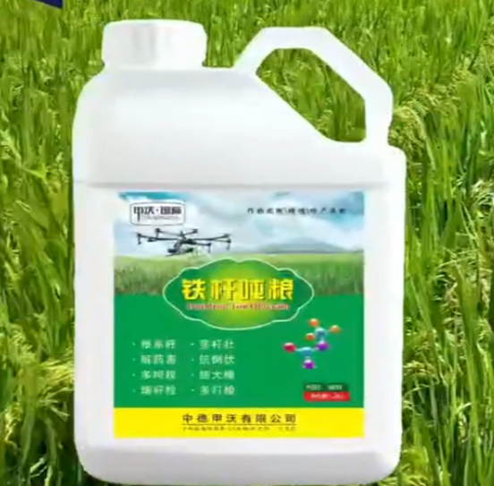 作物要增產選鐵桿噸糧