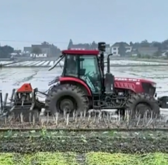 您負責統籌全局，它負責腳踏實地