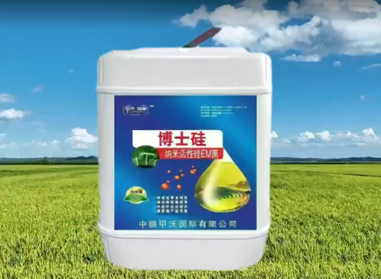 甲沃國(guó)際產(chǎn)品宣傳短視頻